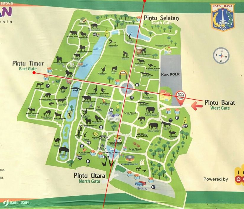 denah kebun binatang ragunan jakarta